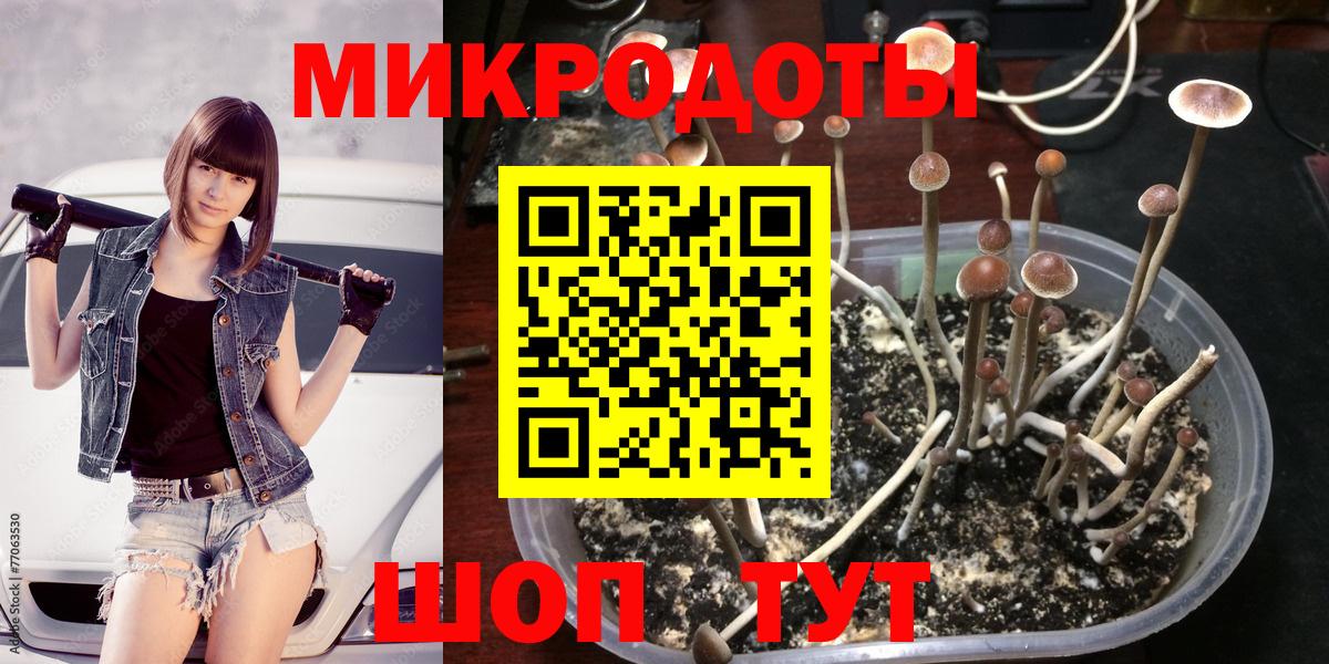 Галлюциногенные грибы GOLDEN TEACHER  Вход с VPN  Бирск  Галлюциногенные грибы Cubensis 